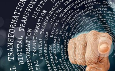 The Role of the Chief Innovation Officer in Digital Transformation